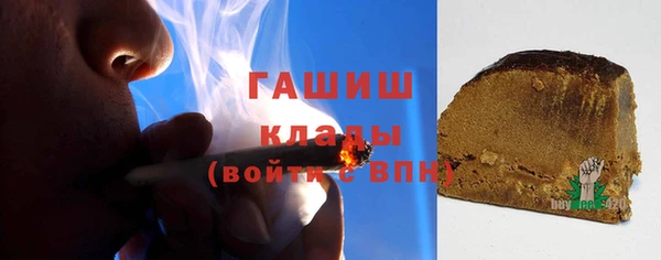 гидра Бородино