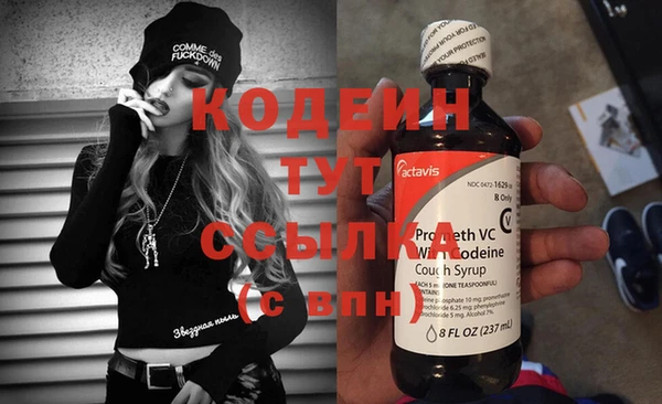 гидра Бородино