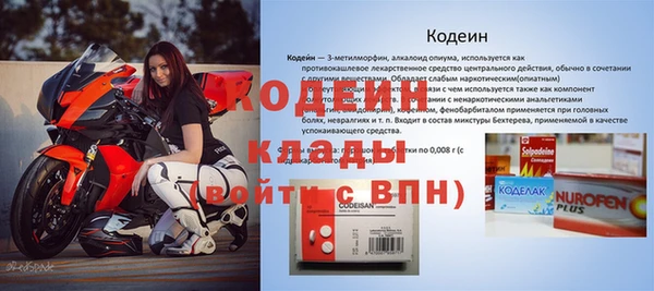 твердый Богданович