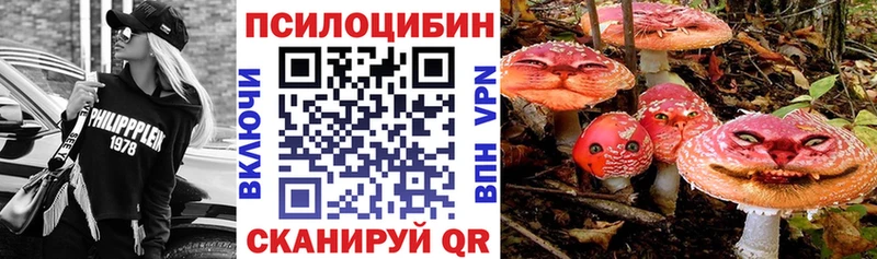 Галлюциногенные грибы GOLDEN TEACHER  Купить где  Костерёво 